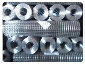 Anticorrosion 1/4 Inch Welded Wire Mesh Electric Galvanized Net 5-50m Length