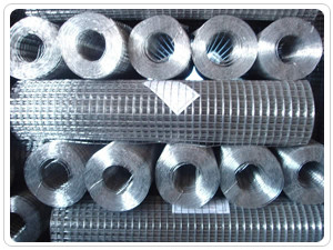 Anticorrosão comprimento soldado 1/4 de polegada de Mesh Electric Galvanized Net 5-50m do fio