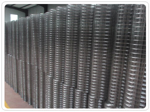 tiragem soldada de Mesh Electric Galvanizing To Wire do fio de 1/2 polegada inoxidável antiusura