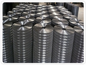 rede de arame soldada de aço inoxidável 0.4M-2M Width Anti Oxidation de 316/316L /304L/304